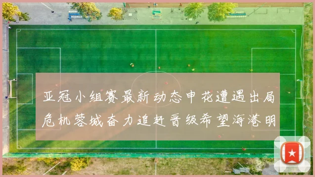 亚冠小组赛最新动态申花遭遇出局危机蓉城奋力追赶晋级希望海港明日迎战挑战