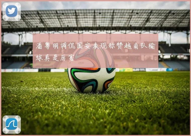 潘粤明调侃国安表现称赞越南队输球真是厉害